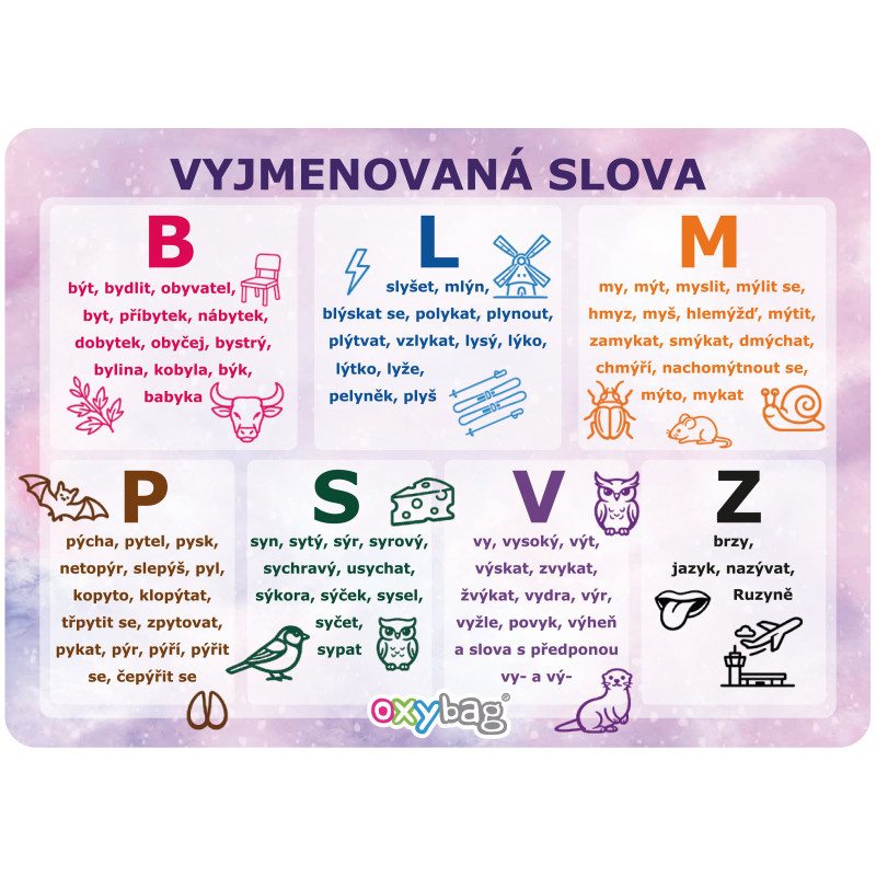 Vzdělávací karty A4 - Vyjmenovaná slova