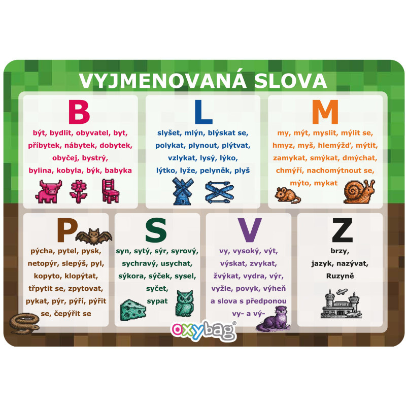 Vzdělávací karty A4 - Vyjmenovaná slova / Playworld