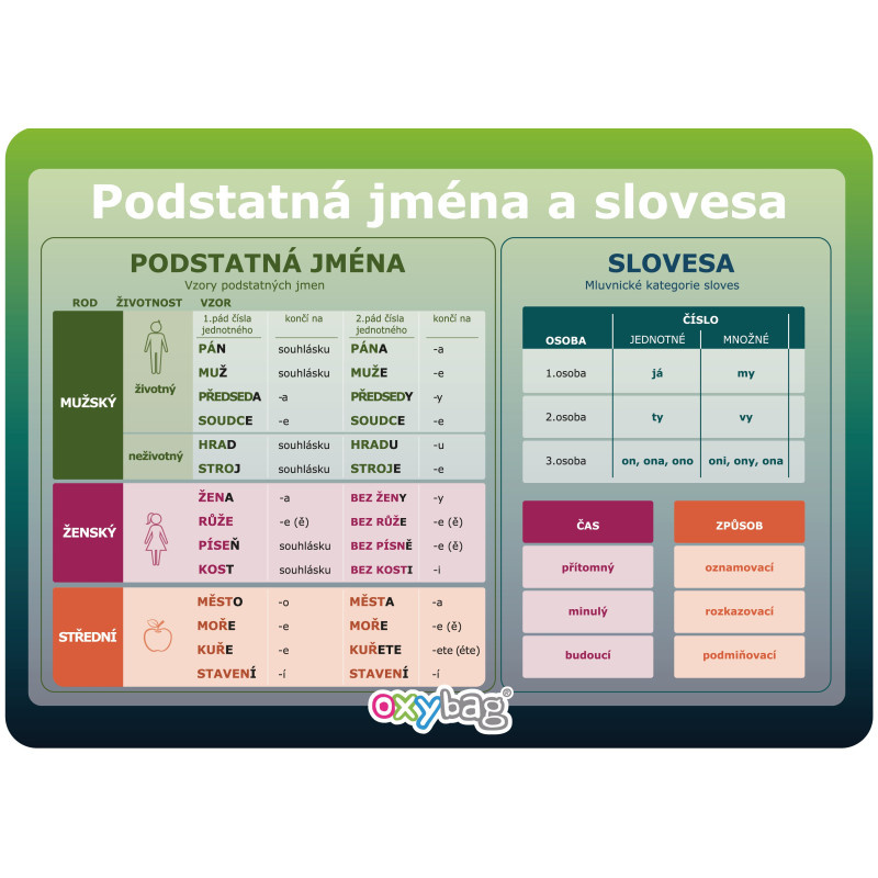 Vzdělávací karty A4 - Podstatná jména a slovesa