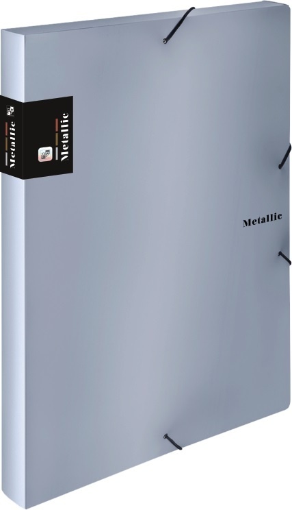 Box na spisy A4 s gumou METALLIC - stříbrná