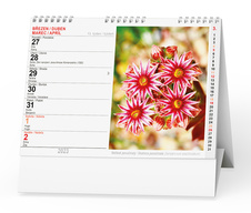 Kalendář stolní - Květiny / BSF7