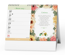 Kalendář stolní Renata Herber - Domácí lékárna / BSE8