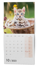 Kalendář nástěnný poznámkový - Kočky / BNL1