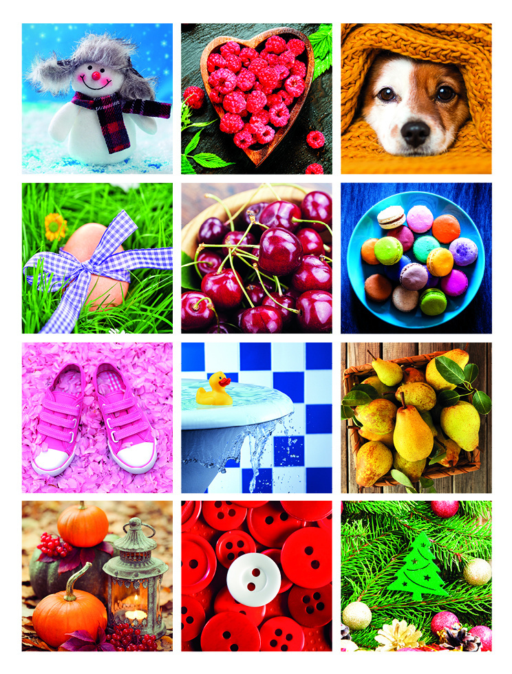 Baloušek tisk 2021 Barevný svět - nástěnný kalendář BNL7