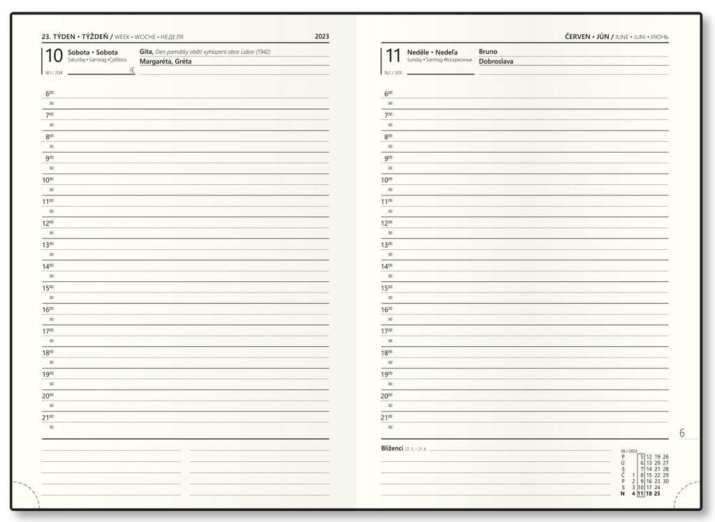 Diář MANAGER Color A5 - denní / zelená