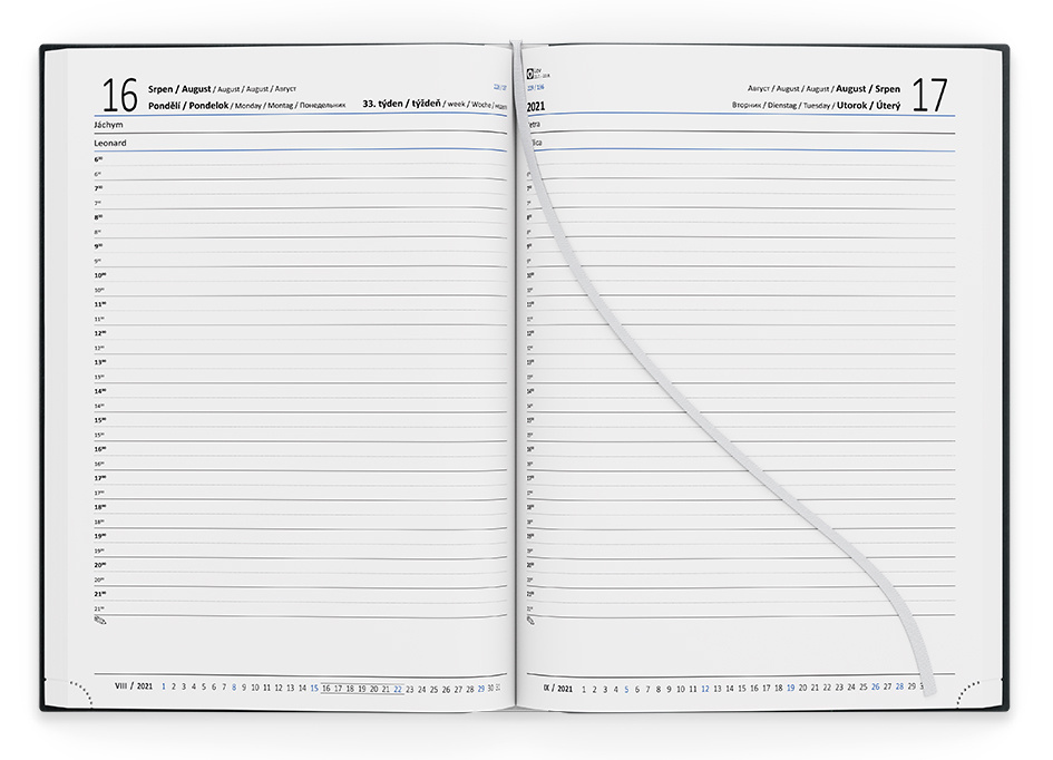 Baloušek tisk diář Lamino B6 denní 2021 stříbrné ornamenty s gumou