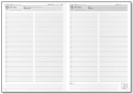 Diář VIVELLA - denní A4 / mátová