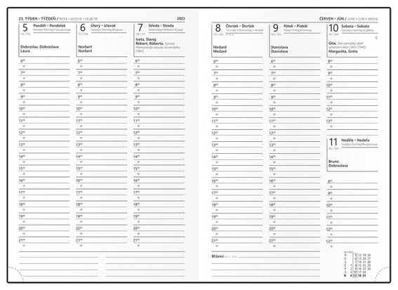 Diář VIVELLA - týdenní A5 / mátová