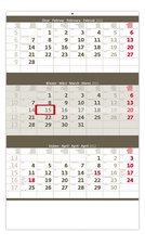 Kalendář nástěnný pracovní - tříměsíční šedý / N204
