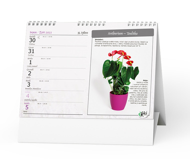 Baloušek tisk 2021 Pokojové květiny - stolní kalendář BSC7