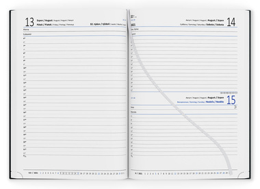 Baloušek Tisk David Lamino A5 denní 2021 Záře