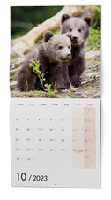 Kalendář nástěnný poznámkový - Zvířátka / BNL9