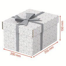 Krabice úložná Esselte - S / bílá / 255 x 200 x 150 mm / 3 ks