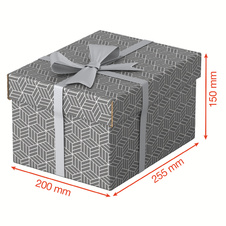 Krabice úložná Esselte - S / šedá / 255 x 200 x 150 mm / 3 ks