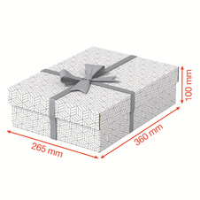 Krabice úložná Esselte - M / bílá / 360 x 265 x 100 mm / 3 ks