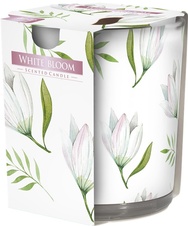 Vonná svíčka - sklo / White Bloom