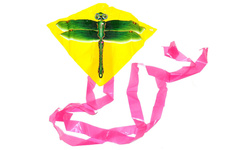 Létající drak hmyz 27 x 33 cm - mix motivů