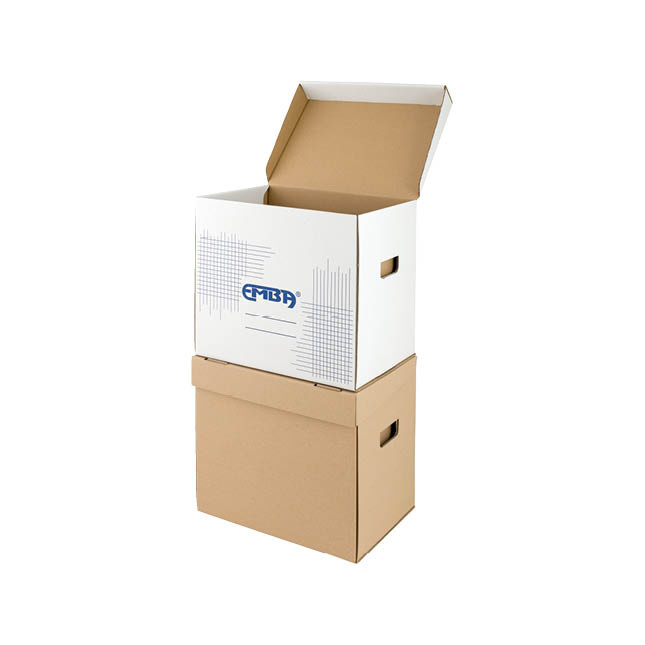 Úložný box Emba - bílá / TYP I