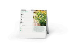 Kalendář stolní - Léčivé rostliny/ BSK6