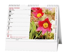 Kalendář stolní obrázkový Květiny / BSF7