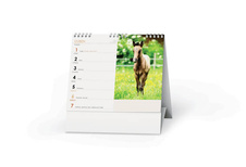 Kalendář stolní - Koně / BSL8