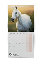 Kalendář nástěnný poznámkový - Koně / BNL3