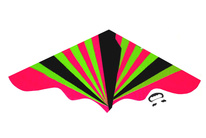 Létající drak 120 x 61 cm - mix motivů