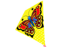 Drak motýl - 68x73 cm