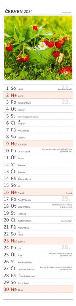 Kalendář nástěnný vázankový - Kouzlo domova / N195