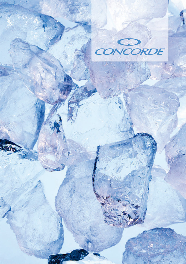 Kniha záznamní lepená Concorde - A6 / linka / 100 listů