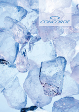 Kniha záznamní lepená Concorde - A6 / linka / 100 listů