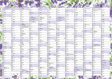 Plánovací roční nástěnná mapa - Levandule / BKA1