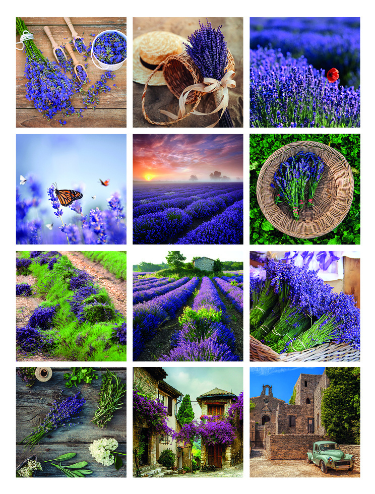 Kalendář nástěnný poznámkový - Provence / BNL 5