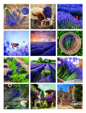 Kalendář nástěnný poznámkový - Provence / BNL 5