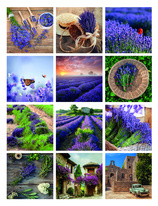 Kalendář nástěnný poznámkový - Provence / BNL 5