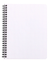 Blok kroužkový Clairefontaine Rhodia A5+ - čtvereček / 80 listů / mix barev