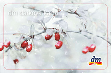 DÁREK! Dárková karta DM DROGERIE 250,- Kč