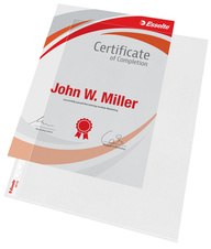 Závěsný obal Esselte LU - A4 / 105 my / 100 ks