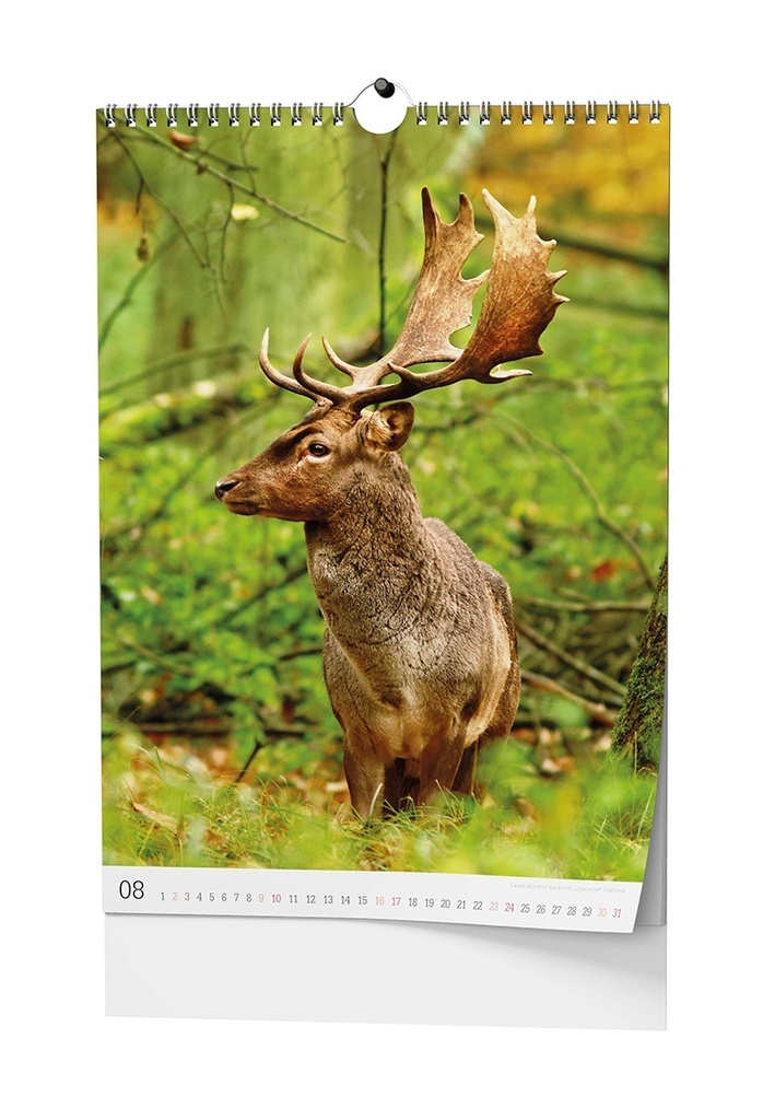 Kalendář nástěnný Myslivecký / BNF3