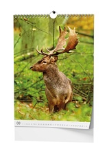 Kalendář nástěnný Myslivecký / BNF3