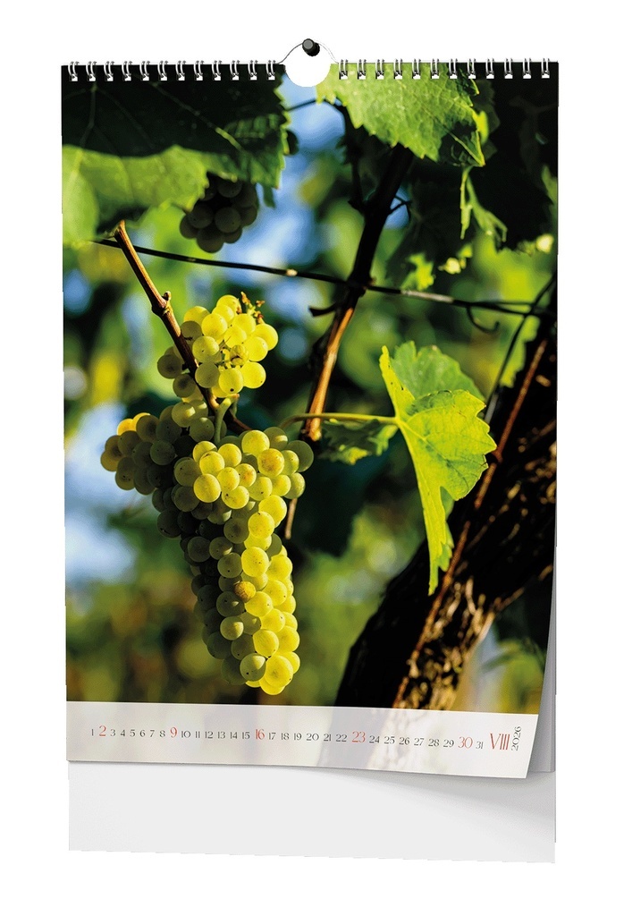 Kalendář nástěnný Víno / BNF1