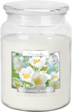 Vonná svíčka v dóze Maxi - Blooming jasmine