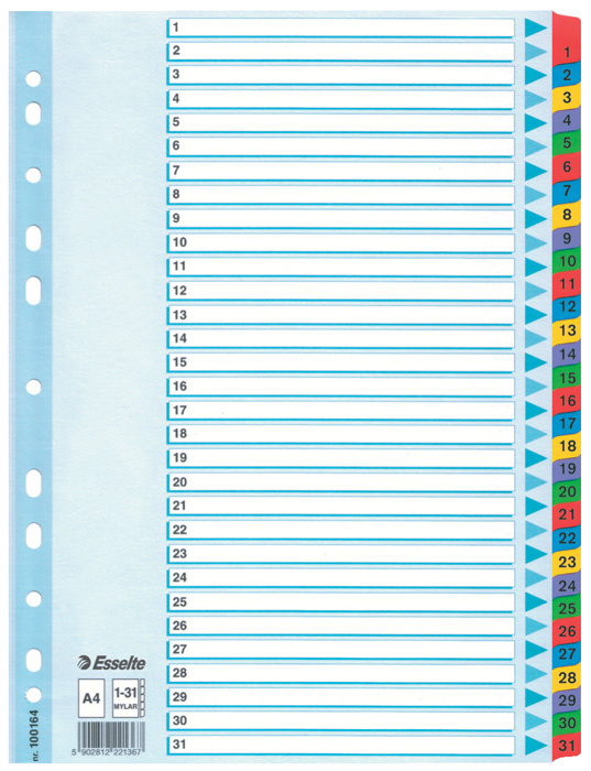 Rozdružovač A4 kartonový Esselte Mylar - barevný  / 1 - 31