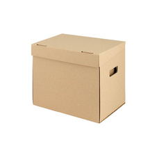 Úložný box Emba hnědá / TYP I