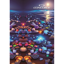 Kniha záznamní lepená Concorde - A6 / linka / 100 listů