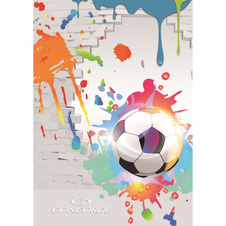 Kniha záznamní lepená Concorde - A6 / linka / 100 listů