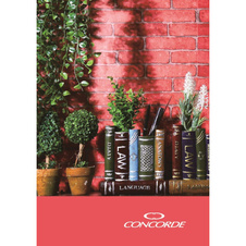 Kniha záznamní lepená Concorde - A6 / linka / 100 listů