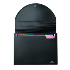 Spisové desky CONCORDE s přihrádkami - 25 kapes