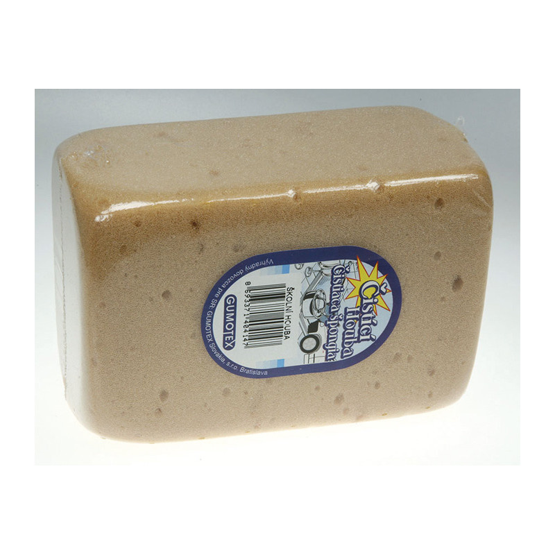 Školní houba - houba