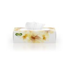 Kapesníčky papírové Paloma Balsam - třívrstvé / 80 ks